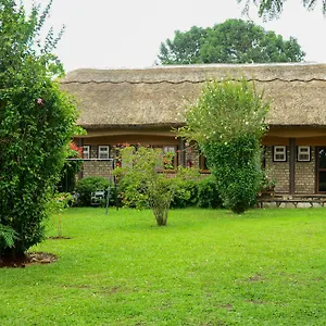 Gorilla African Maison d'hôtes